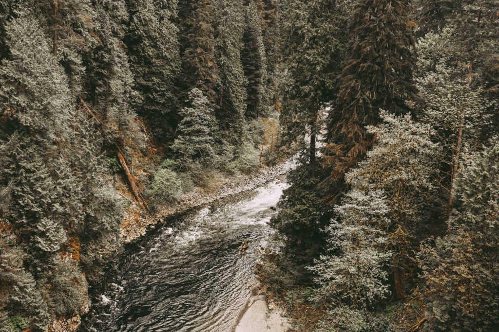 An image of a River Fall walleye fishing