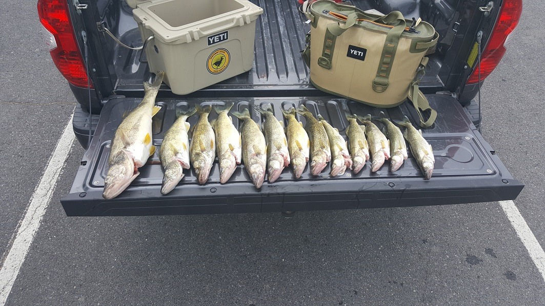 walleye dipsy divers Off 59% 